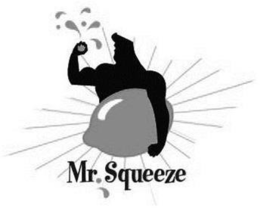 MR. SQUEEZE trademark