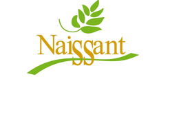 NAISSANT trademark