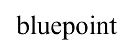 BLUEPOINT trademark