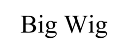 BIG WIG trademark