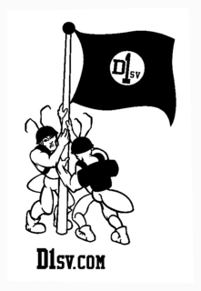 D1SV D1SV.COM trademark