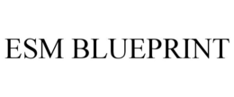 ESM BLUEPRINT trademark