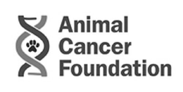 ANIMAL CANCER FOUNDATION trademark