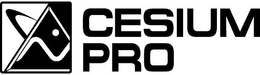 CESIUM PRO trademark