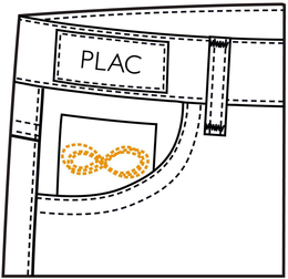 PLAC 8 trademark