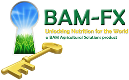 BAM-FX UNLOCKING NUTRITION FOR THE WORLD A BAM AGRICULTURAL SOLUTIONS PRODUCT trademark