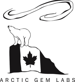 ARCTIC GEM LABS trademark