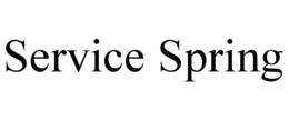 SERVICE SPRING trademark