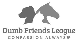 DUMB FRIENDS LEAGUE COMPASSION ALWAYS trademark