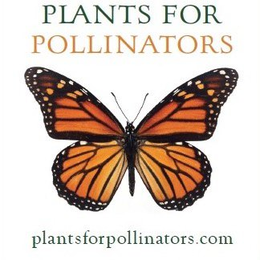 PLANTS FOR POLLINATORS PLANTSFORPOLLINATORS.COM trademark