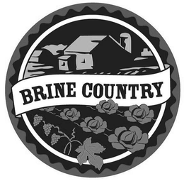 BRINE COUNTRY trademark