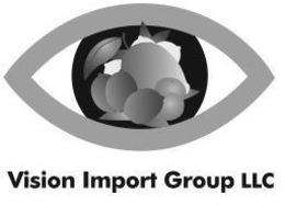 VISION IMPORT GROUP LLC trademark