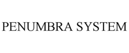 PENUMBRA SYSTEM trademark