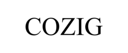 COZIG trademark