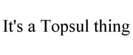 IT'S A TOPSUL THING trademark