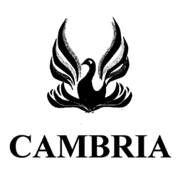 CAMBRIA trademark