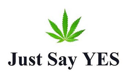JUST SAY YES trademark