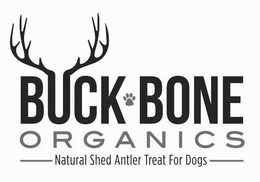 BUCK BONE ORGANICS NATURAL SHED ANTLER TREAT FOR DOGS trademark