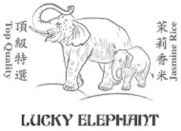 LUCKY ELEPHANT TOP QUALITY JASMINE RICE trademark