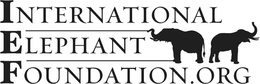 INTERNATIONALELEPHANTFOUNDATION.ORG trademark