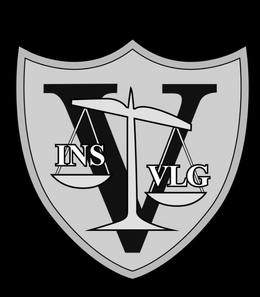V INS VLG trademark