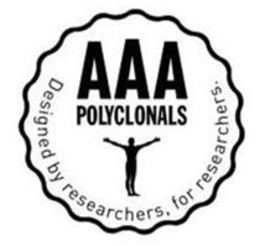 AAA POLYCLONALS DESIGNED BY RESEARCHERS, FOR RESEARCHERS. trademark