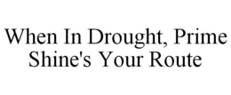 WHEN IN DROUGHT, PRIME SHINE'S YOUR ROUTE trademark