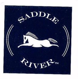 SADDLE RIVER trademark