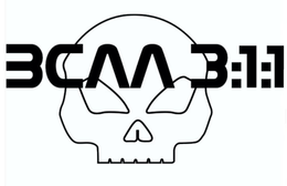 BCAA 3:1:1 trademark