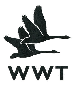 WWT trademark