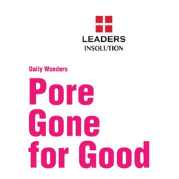LEADERS INSOLUTION DAILY WONDERS PORE GONE FOR GOOD trademark