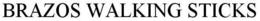 BRAZOS WALKING STICKS trademark