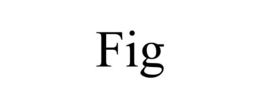 FIG trademark