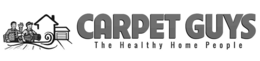 CARPET GUYS THE HEALTHY HOME PEOPLE trademark