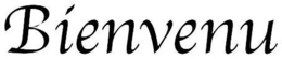 BIENVENU trademark