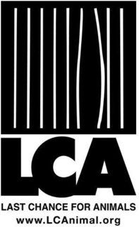 LCA LAST CHANCE FOR ANIMALS WWW.LCANIMAL.ORG trademark
