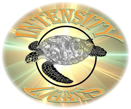 INTENSITY LIGHTS trademark
