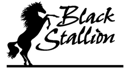 BLACK STALLION trademark