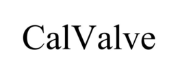 CALVALVE trademark
