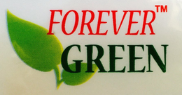 FOREVER GREEN trademark