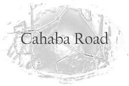 CAHABA ROAD, ORRVILLE, MAIN ST, ACADEMY ST, CHURCH ST, DALLAS COUNTY 115, DALLAS COUNTY 122, CO RD 122, RD 345, 22 trademark