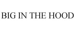BIG IN THE HOOD trademark