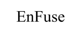 ENFUSE trademark