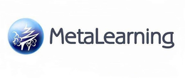META LEARNING trademark