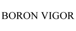 BORON VIGOR trademark