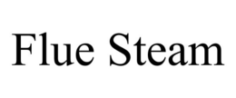 FLUE STEAM trademark