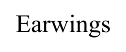 EARWINGS trademark