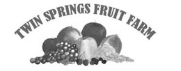 TWIN SPRINGS FRUIT FARM trademark