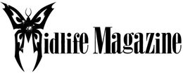MIDLIFE MAGAZINE trademark