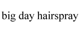 BIG DAY HAIRSPRAY trademark